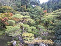 20121026_143949.jpg